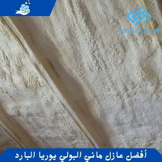 أفضل عازل مائي البولي يوريا البارد - شركة عزل مائي